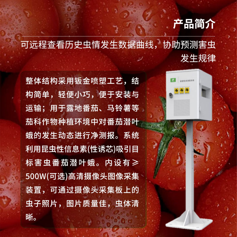 番茄潜叶蛾智慧性诱测报系统
