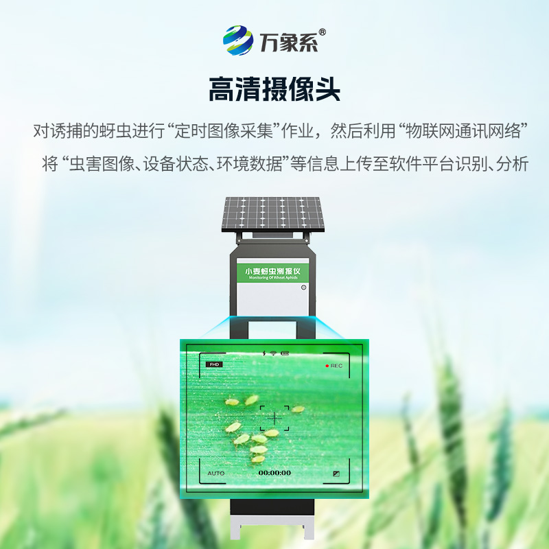 小麦蚜虫在线监测系统，小麦病害防治的利器之一